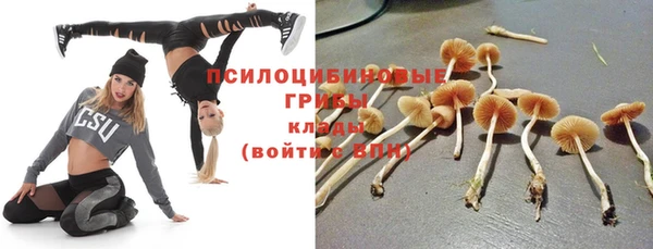 метадон Богородицк