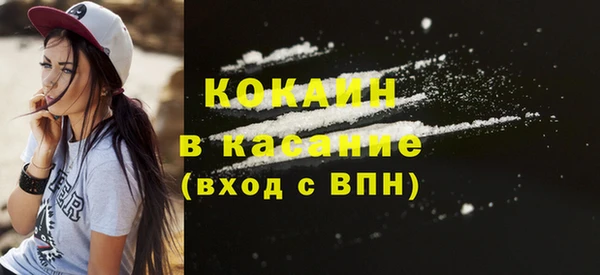 прущие грибы Аркадак