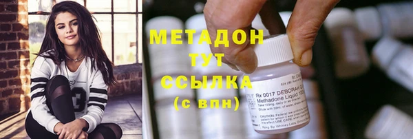 спиды Богданович