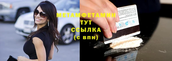 спиды Богданович