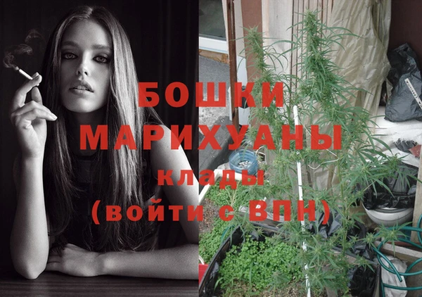 гашик Бронницы