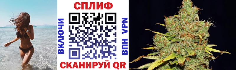 Конопля Ganja  Новый Оскол 